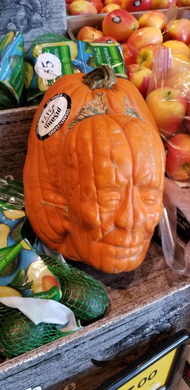 daily picdump 94 pics 28.html - 94 HD Photos | Premium Gallery 2018