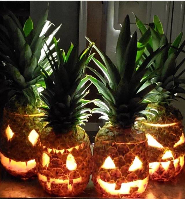 daily picdump 94 pics 28.html - 94 HD Photos | Premium Gallery 2018