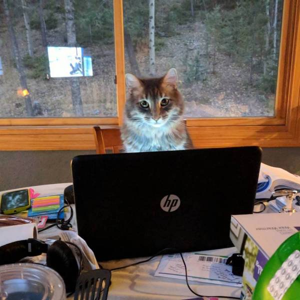 daily picdump 96 pics 19.html - 96 HD Photos | Premium Gallery 2018