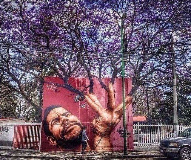 daily picdump 96 pics 19.html - 96 HD Photos | Premium Gallery 2018