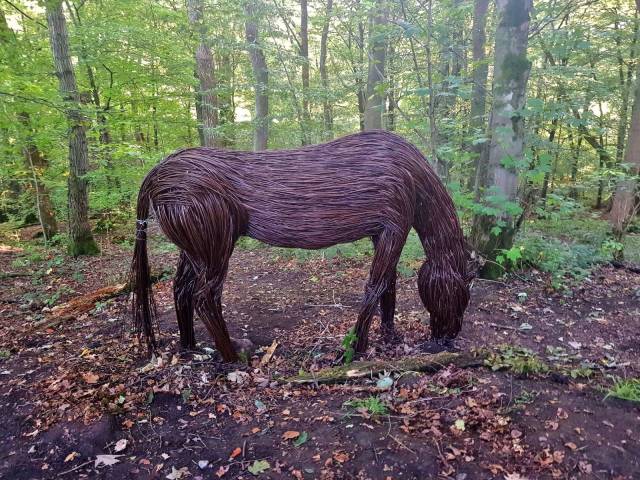 daily picdump 96 pics 19.html - 96 HD Photos | Premium Gallery 2018