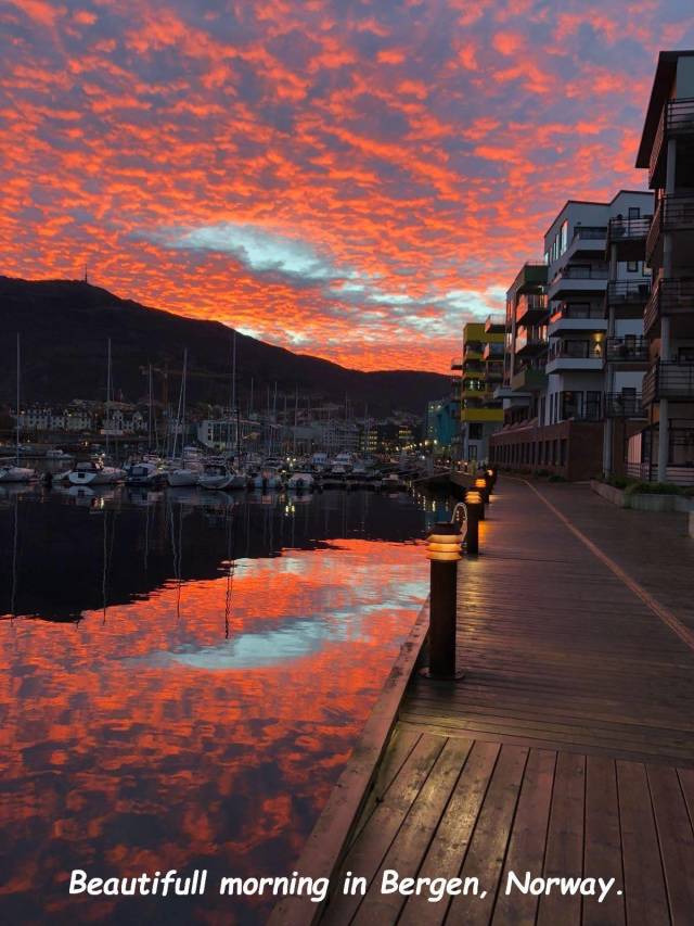 daily picdump 96 pics 19.html - 96 HD Photos | Premium Gallery 2018