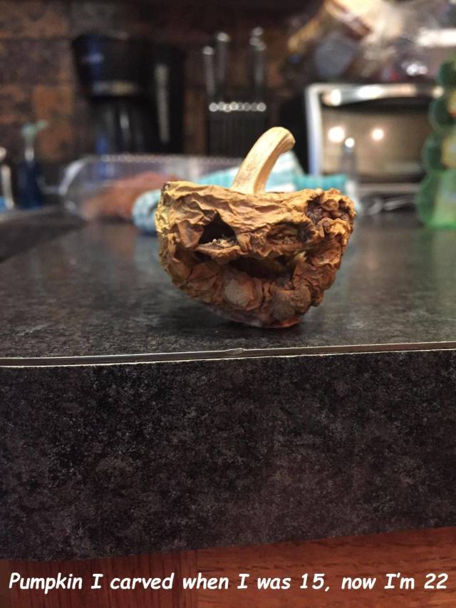 daily picdump 96 pics 19.html - 96 HD Photos | Premium Gallery 2018