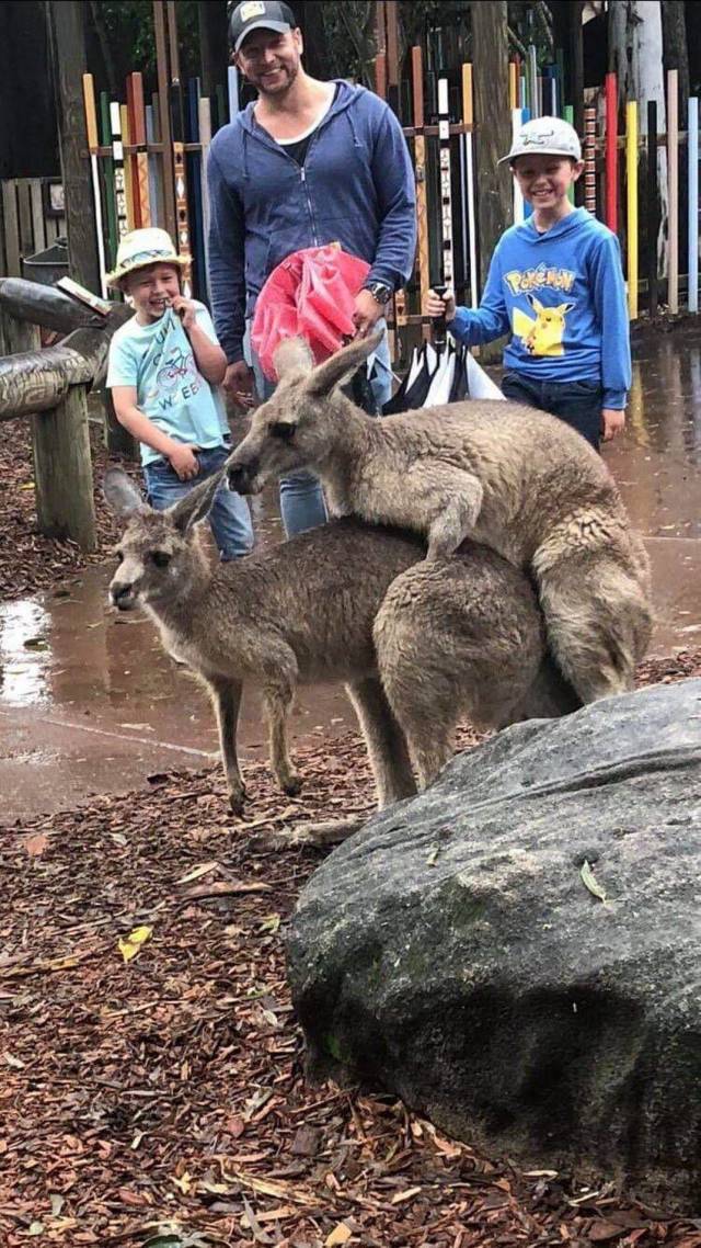 daily picdump 96 pics 19.html - 96 HD Photos | Premium Gallery 2018