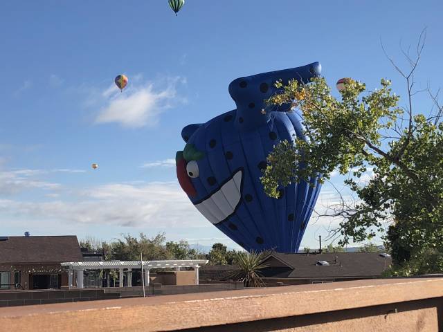 morning picdump 51 pics 7.html - 51 HD Photos | Premium Gallery 2018