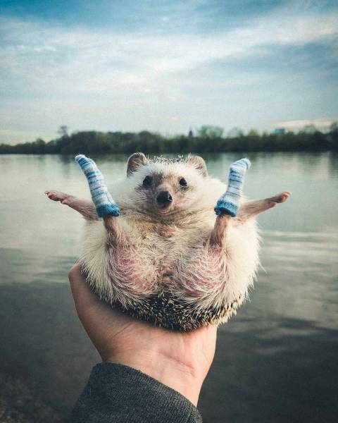 morning picdump 51 pics 7.html - 51 HD Photos | Premium Gallery 2018