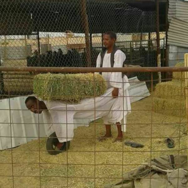 morning picdump 51 pics 7.html - 51 HD Photos | Premium Gallery 2018