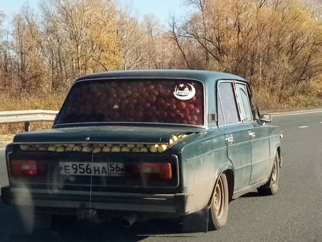 morning picdump 51 pics 7.html - 51 HD Photos | Premium Gallery 2018