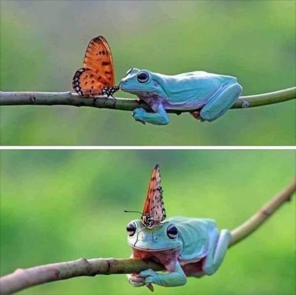 morning picdump 51 pics 7.html - 51 HD Photos | Premium Gallery 2018