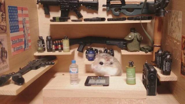 daily picdump 98 pics 36.html - 98 HD Photos | Premium Gallery 2018