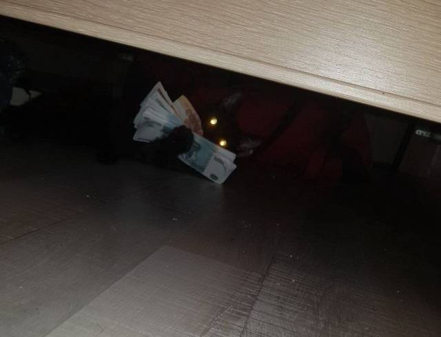 daily picdump 98 pics 36.html - 98 HD Photos | Premium Gallery 2018