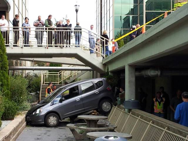 daily picdump 98 pics 36.html - 98 HD Photos | Premium Gallery 2018