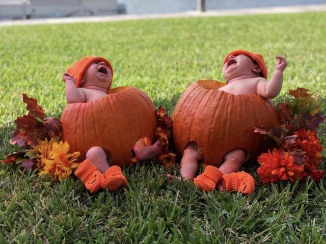 daily picdump 98 pics 36.html - 98 HD Photos | Premium Gallery 2018