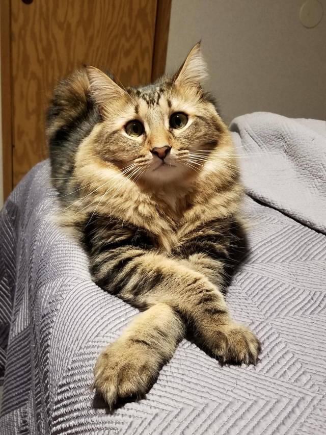 daily picdump 98 pics 36.html - 98 HD Photos | Premium Gallery 2018