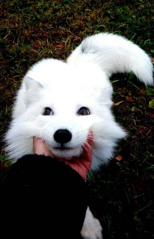 daily picdump 98 pics 36.html - 98 HD Photos | Premium Gallery 2018