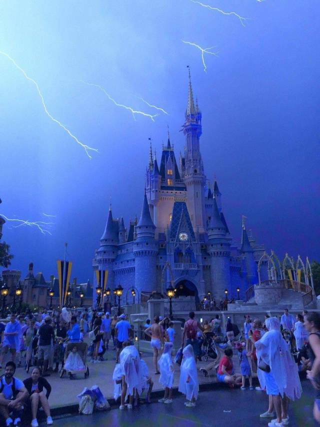 daily picdump 98 pics 36.html - 98 HD Photos | Premium Gallery 2018