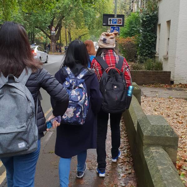 morning picdump 50 pics 6.html - 50 HD Photos | Premium Gallery 2018