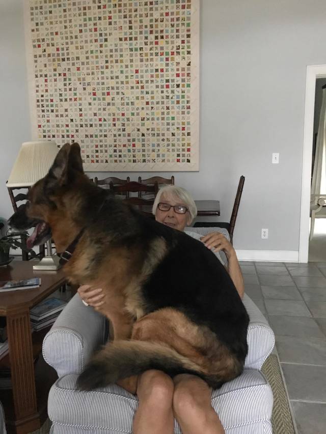 morning picdump 50 pics 6.html - 50 HD Photos | Premium Gallery 2018