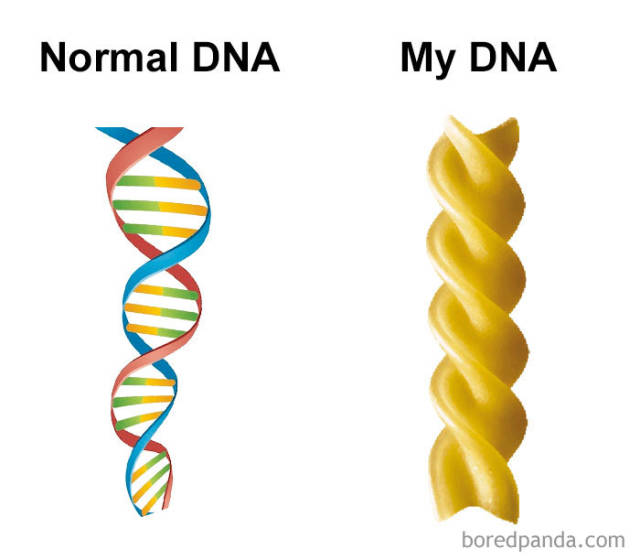 You Know You Like Both Food And Memes