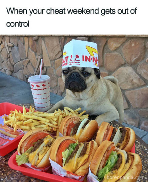 You Know You Like Both Food And Memes