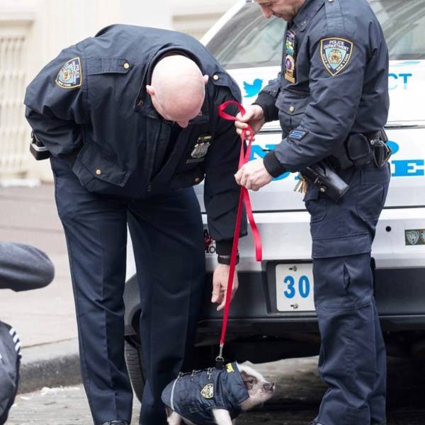 daily picdump 102 pics 41.html - 102 HD Photos | Premium Gallery 2018