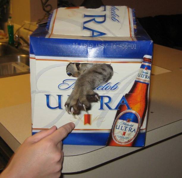 daily picdump 102 pics 41.html - 102 HD Photos | Premium Gallery 2018