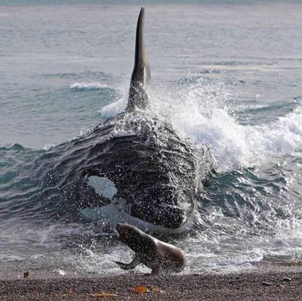 daily picdump 102 pics 41.html - 102 HD Photos | Premium Gallery 2018