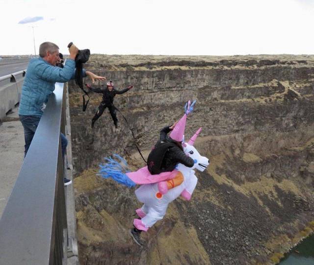 daily picdump 102 pics 41.html - 102 HD Photos | Premium Gallery 2018