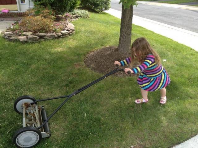 daily picdump 102 pics 41.html - 102 HD Photos | Premium Gallery 2018