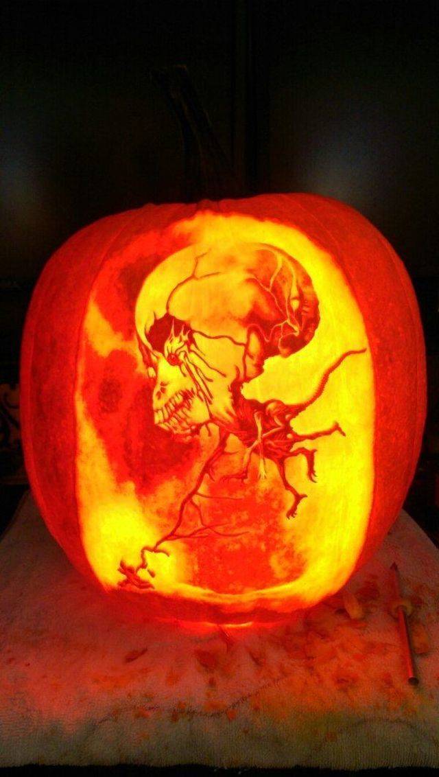 daily picdump 102 pics 41.html - 102 HD Photos | Premium Gallery 2018