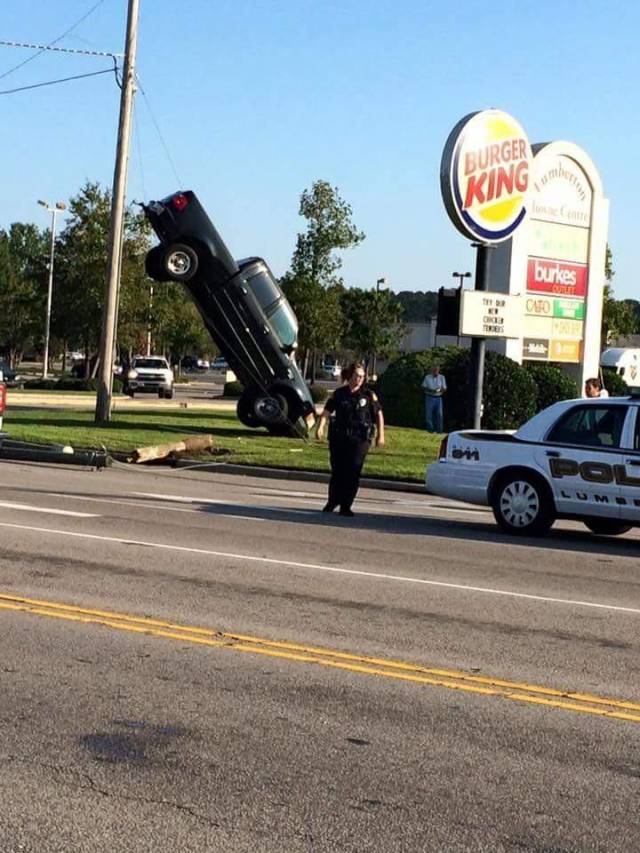 daily picdump 102 pics 41.html - 102 HD Photos | Premium Gallery 2018