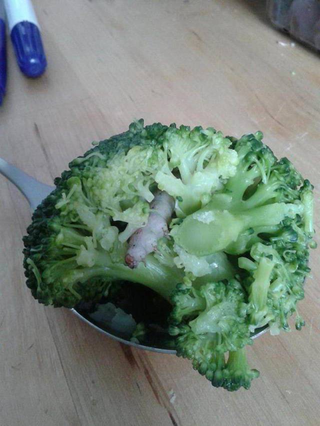 daily picdump 102 pics 41.html - 102 HD Photos | Premium Gallery 2018