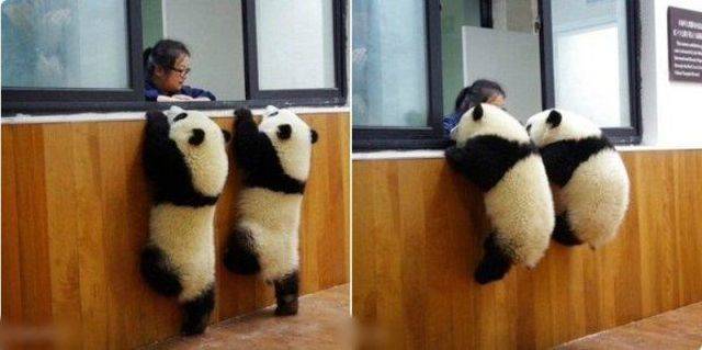 daily picdump 98 pics 30.html - 98 HD Photos | Premium Gallery 2018