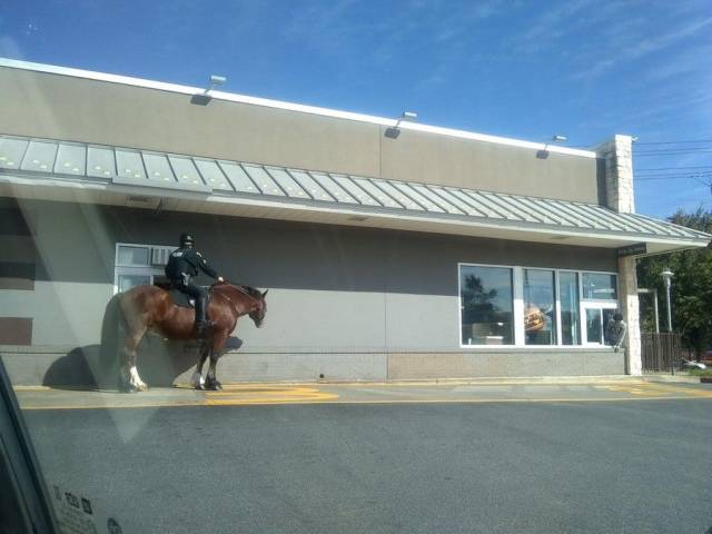 daily picdump 98 pics 30.html - 98 HD Photos | Premium Gallery 2018