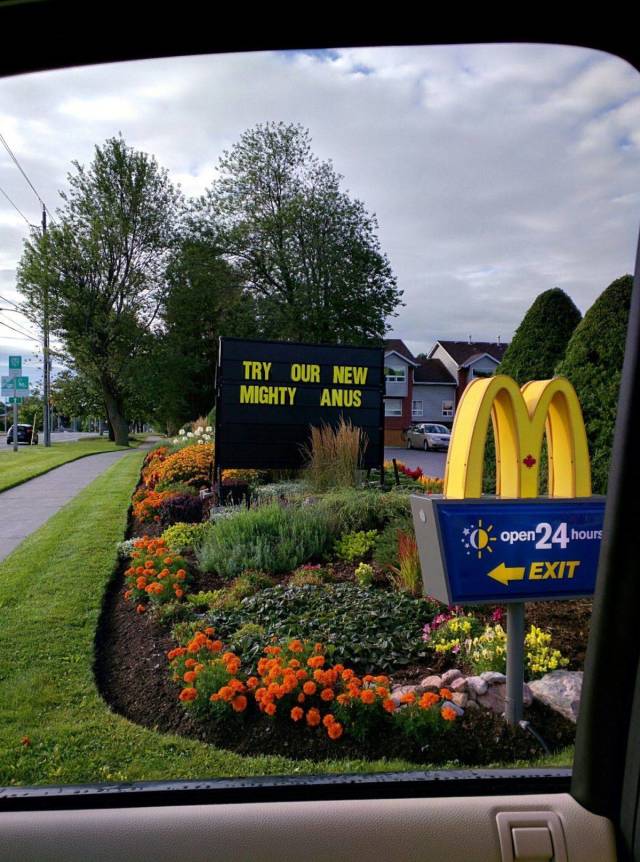 daily picdump 98 pics 30.html - 98 HD Photos | Premium Gallery 2018