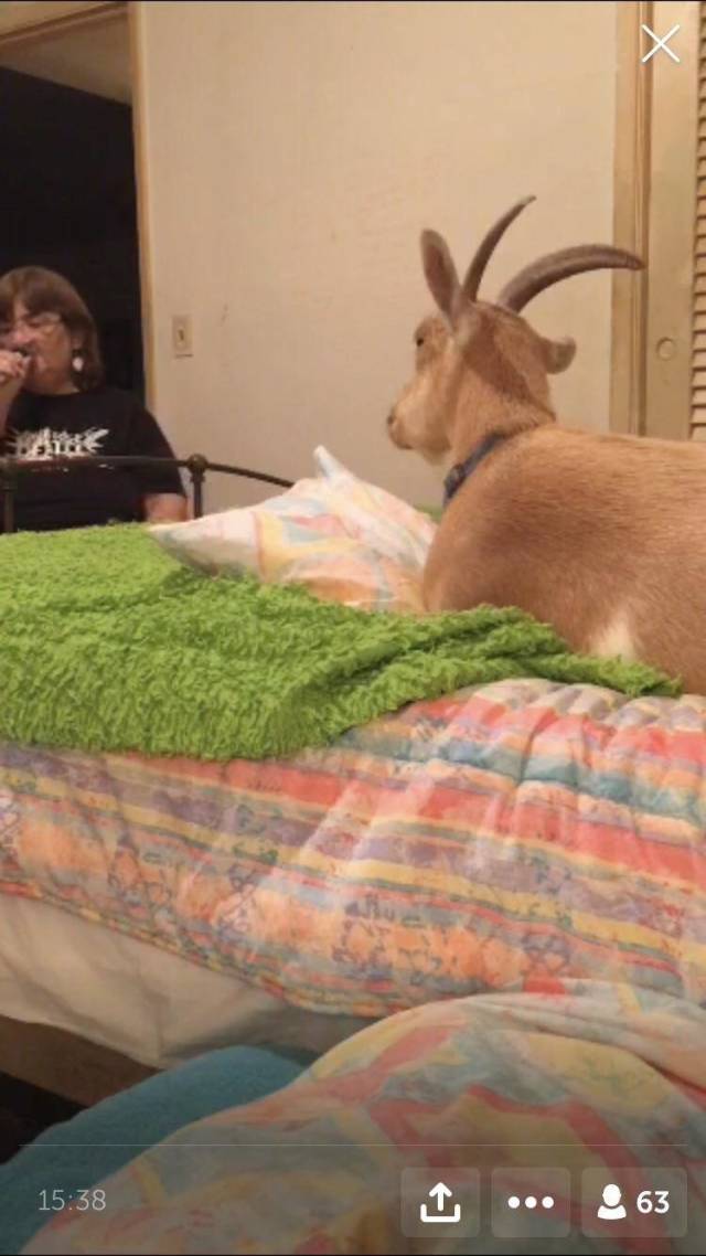 morning picdump 50 pics 20.html - 50 HD Photos | Premium Gallery 2018