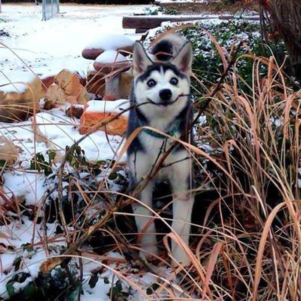 Daily Picdump [WEEKEND EDITION]