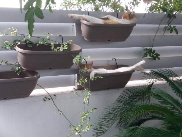 daily picdump weekend edition 67 pics 32.html - 67 HD Photos | Premium Gallery 2018