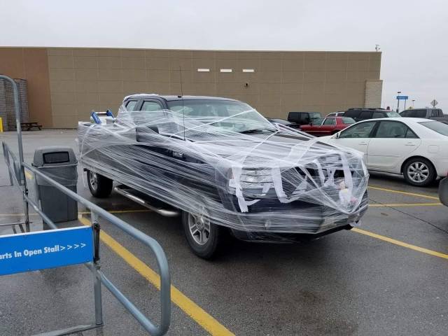 daily picdump weekend edition 67 pics 32.html - 67 HD Photos | Premium Gallery 2018