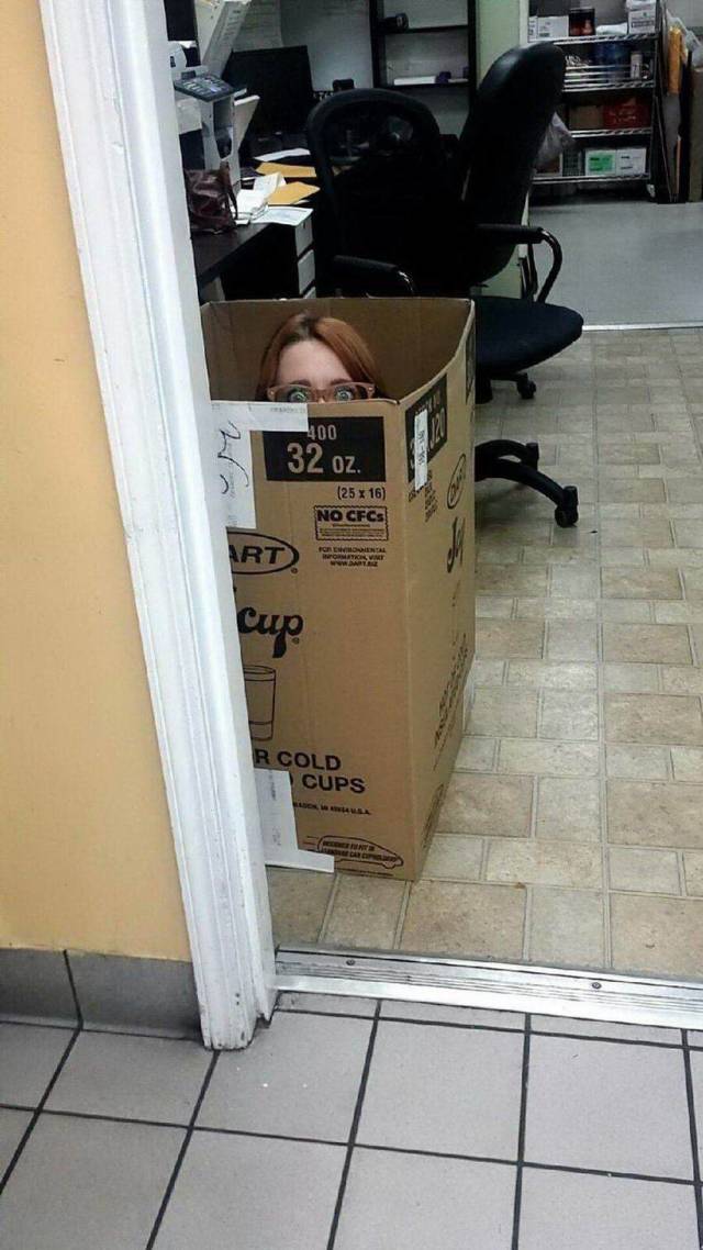 Daily Picdump [WEEKEND EDITION]