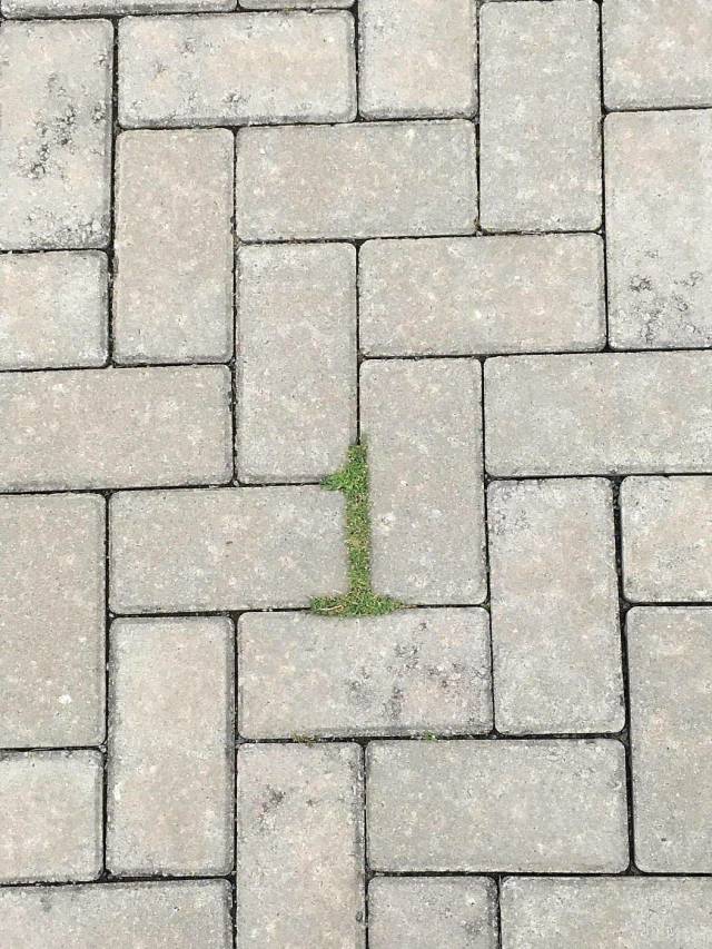 daily picdump weekend edition 67 pics 32.html - 67 HD Photos | Premium Gallery 2018