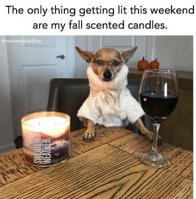 daily picdump weekend edition 67 pics 32.html - 67 HD Photos | Premium Gallery 2018