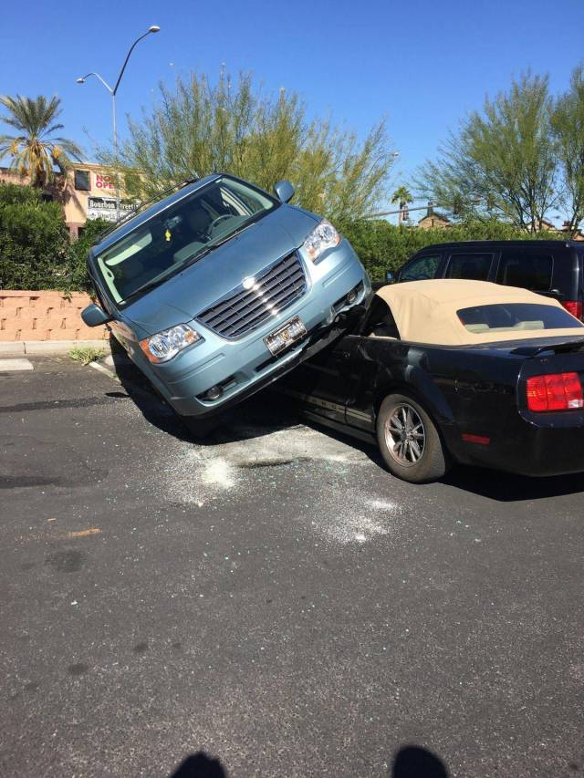 daily picdump weekend edition 67 pics 32.html - 67 HD Photos | Premium Gallery 2018