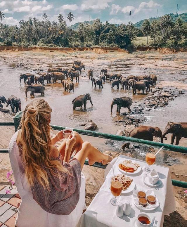 daily picdump weekend edition 67 pics 32.html - 67 HD Photos | Premium Gallery 2018