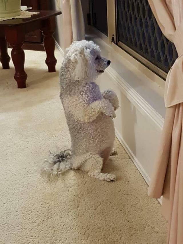 daily picdump weekend edition 67 pics 32.html - 67 HD Photos | Premium Gallery 2018