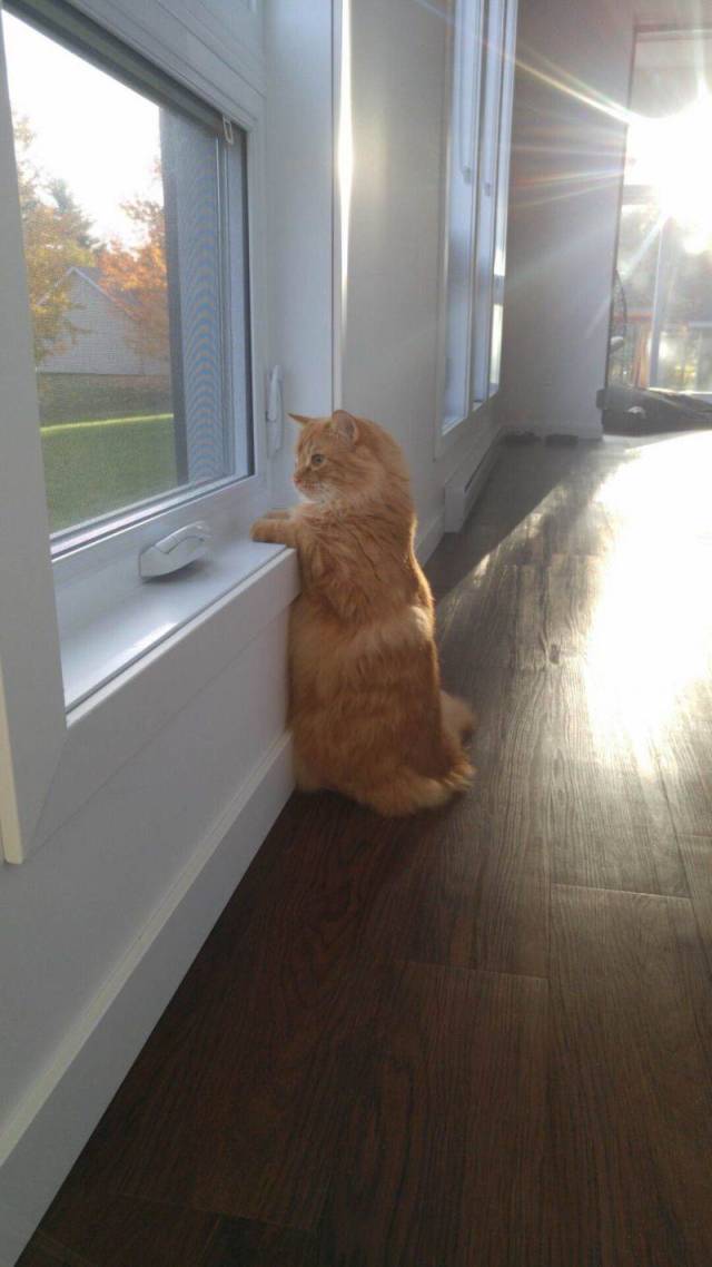 daily picdump weekend edition 67 pics 32.html - 67 HD Photos | Premium Gallery 2018