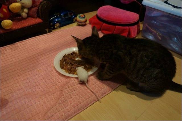 daily picdump 96 pics 11.html - 96 HD Photos | Premium Gallery 2018