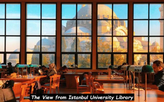 daily picdump 96 pics 11.html - 96 HD Photos | Premium Gallery 2018