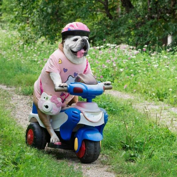 daily picdump 96 pics 11.html - 96 HD Photos | Premium Gallery 2018