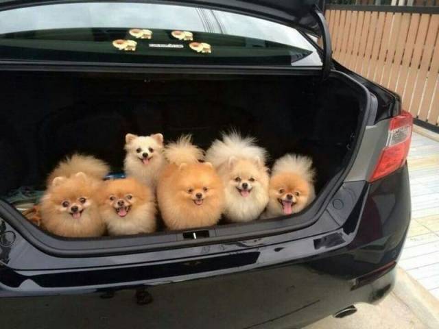 daily picdump 96 pics 11.html - 96 HD Photos | Premium Gallery 2018